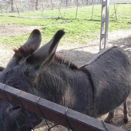 Panzió La Quiete Foligno