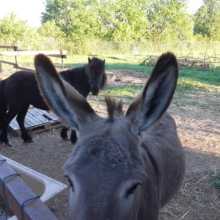Bed and Breakfast La Quiete Φολίνιο