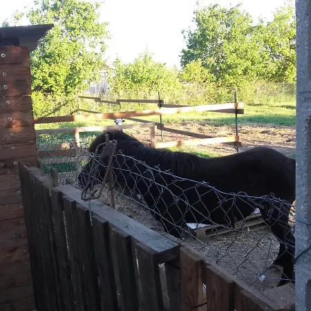 Bed and Breakfast La Quiete Φολίνιο