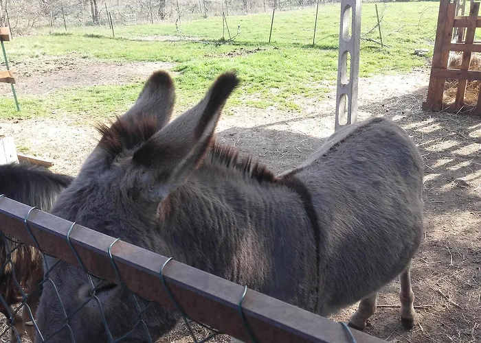 Couette-café La Quiete Foligno