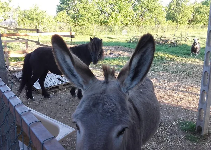 ベッド・アンド・ブレックファスト La Quiete フォリーニョ